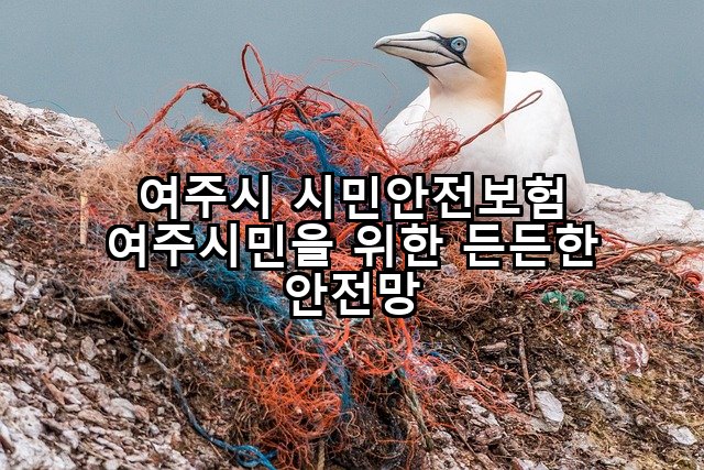 여주시 시민안전보험 여주시민을 위한 든든한 안전망